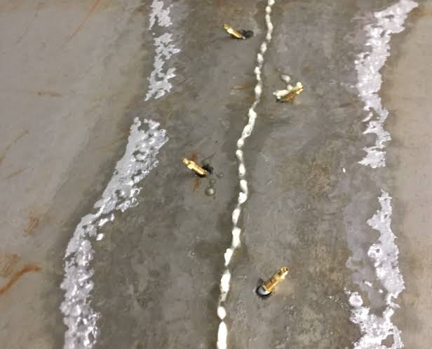 WhatsApp Image 2021-04-19 at 17.17.27.jpeg